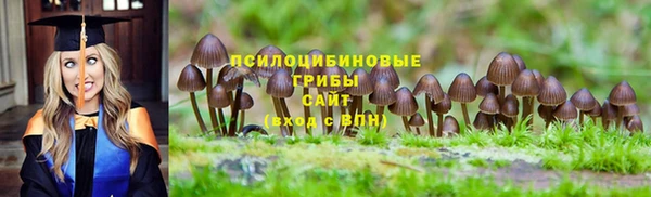 каннабис Арсеньев